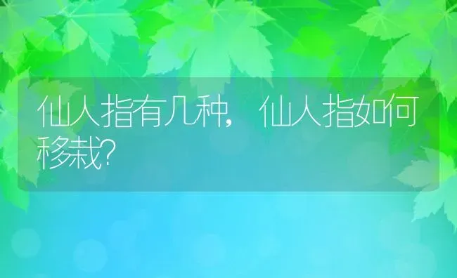 仙人指有几种,仙人指如何移栽？ | 养殖科普
