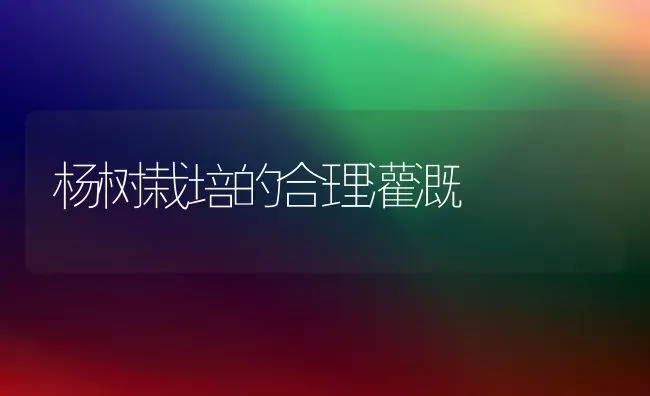 杨树栽培的合理灌溉 | 养殖技术大全