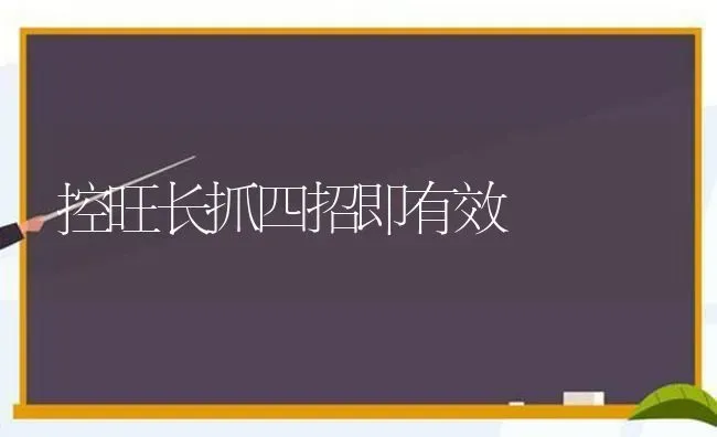 控旺长抓四招即有效 | 养殖知识