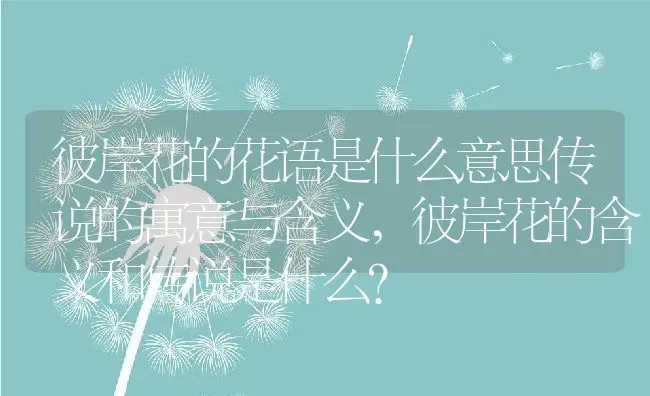 彼岸花的花语是什么意思传说的寓意与含义,彼岸花的含义和传说是什么？ | 养殖科普