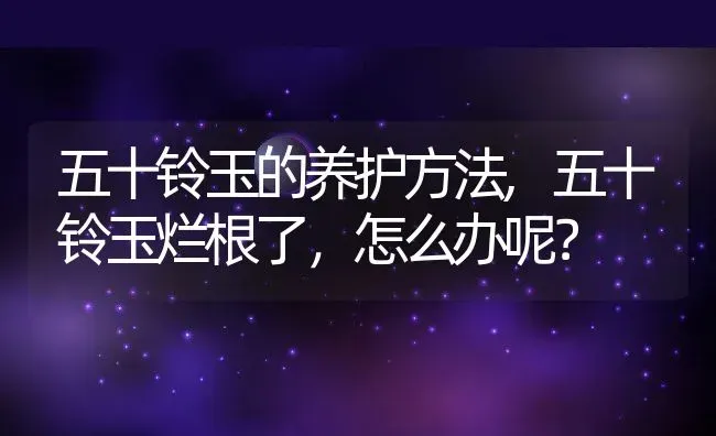 五十铃玉的养护方法,五十铃玉烂根了，怎么办呢？ | 养殖科普