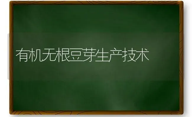 有机无根豆芽生产技术 | 养殖知识