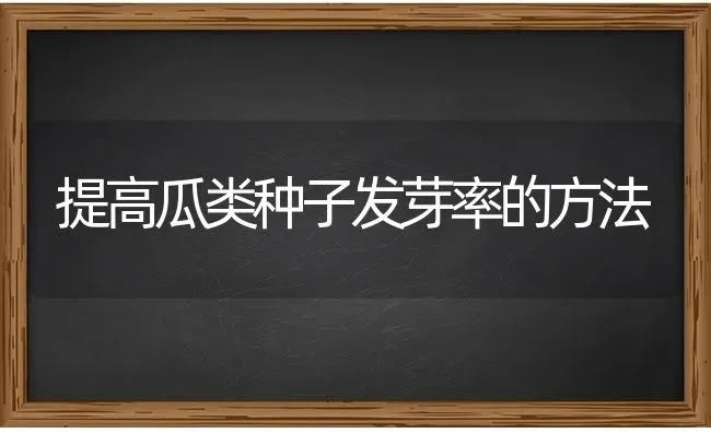 提高瓜类种子发芽率的方法 | 养殖技术大全