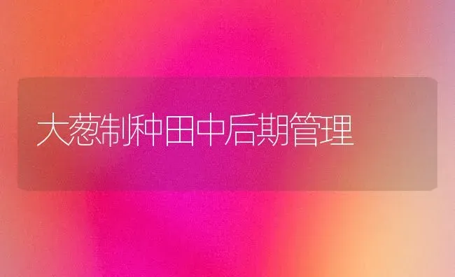 大葱制种田中后期管理 | 养殖知识