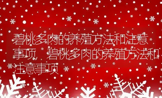 碧桃多肉的养殖方法和注意事项,碧桃多肉的养殖方法和注意事项 | 养殖科普