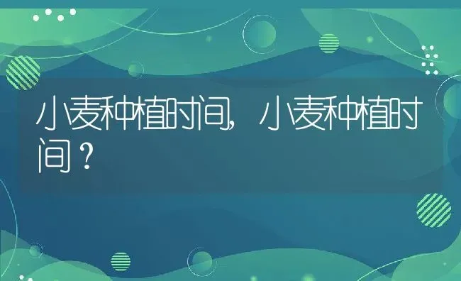 小麦种植时间,小麦种植时间？ | 养殖科普