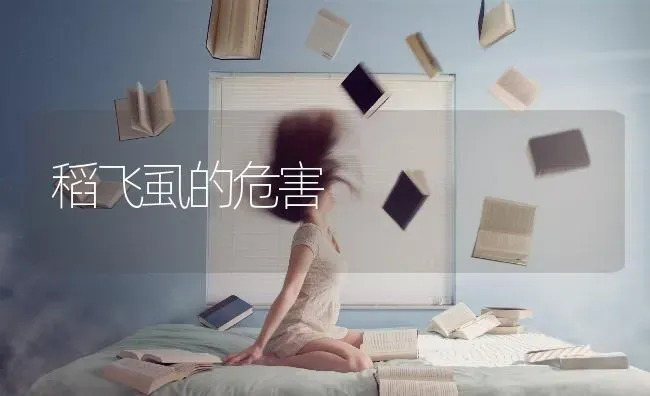 稻飞虱的危害 | 养殖技术大全