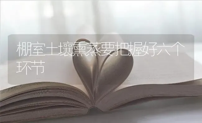 棚室土壤熏蒸要把握好六个环节 | 养殖技术大全