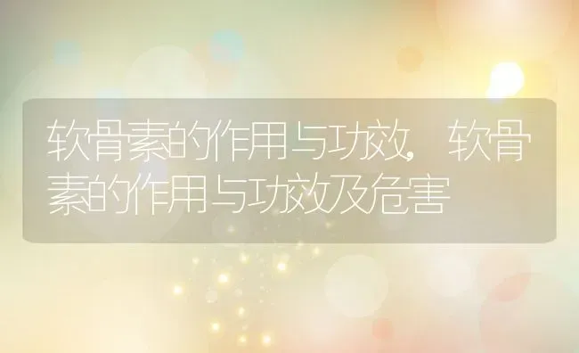 软骨素的作用与功效,软骨素的作用与功效及危害 | 养殖科普