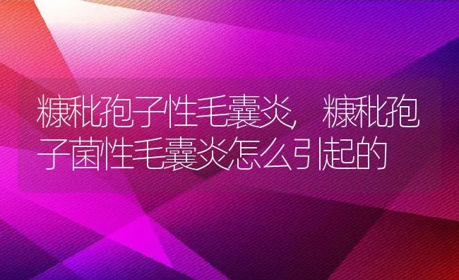 糠秕孢子性毛囊炎,糠秕孢子菌性毛囊炎怎么引起的 | 养殖科普