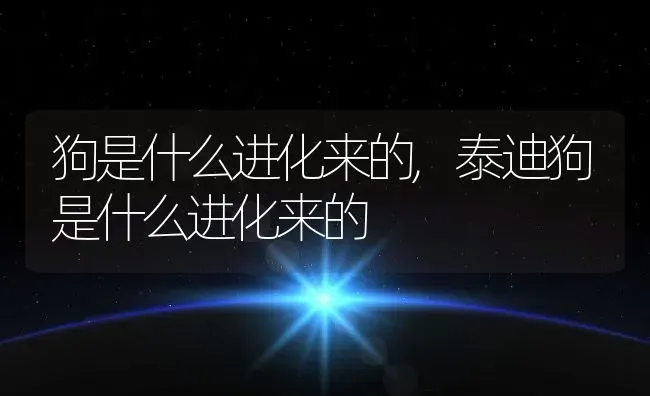 狗是什么进化来的,泰迪狗是什么进化来的 | 养殖科普