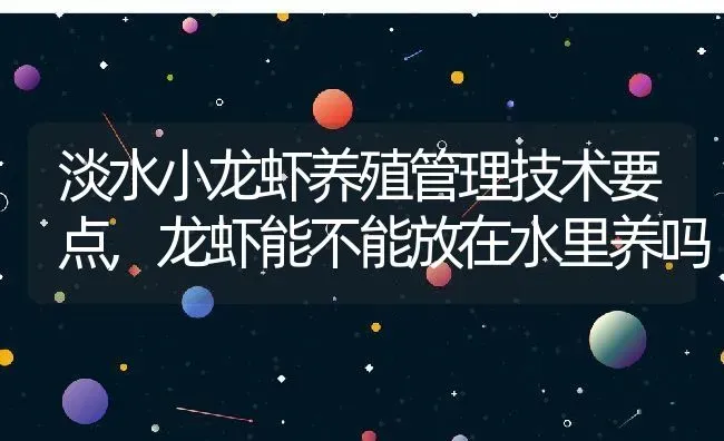 淡水小龙虾养殖管理技术要点,龙虾能不能放在水里养吗 | 养殖学堂