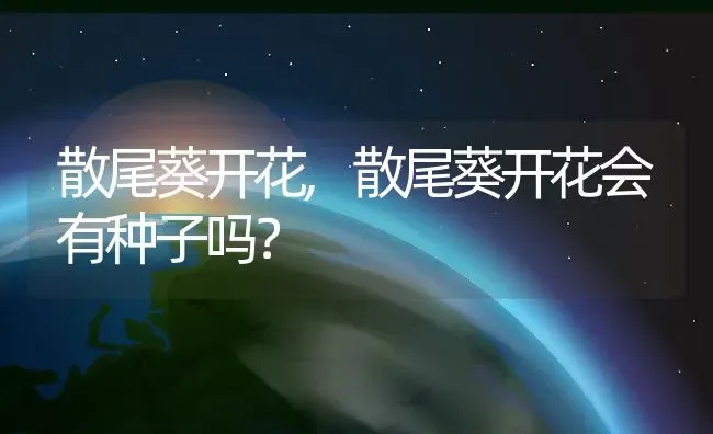 散尾葵开花,散尾葵开花会有种子吗？ | 养殖学堂