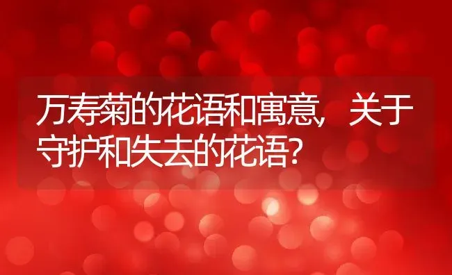 万寿菊的花语和寓意,关于守护和失去的花语？ | 养殖科普