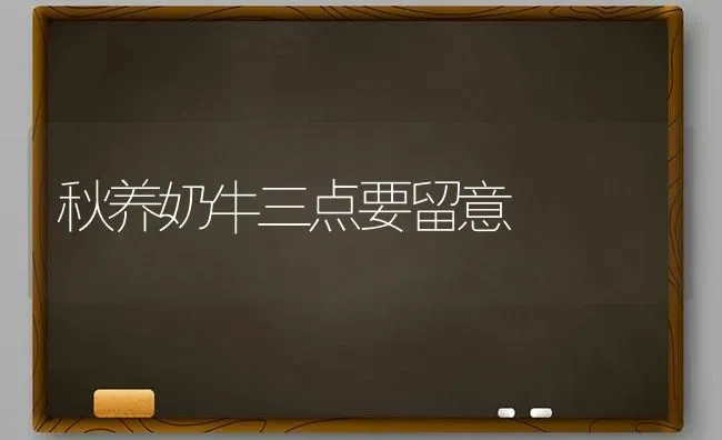 秋养奶牛三点要留意 | 养殖技术大全