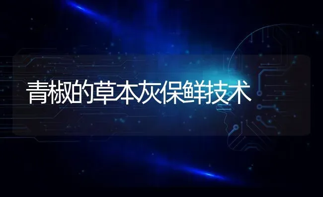青椒的草本灰保鲜技术 | 养殖技术大全