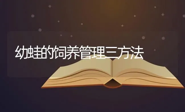 幼蛙的饲养管理三方法 | 养殖知识