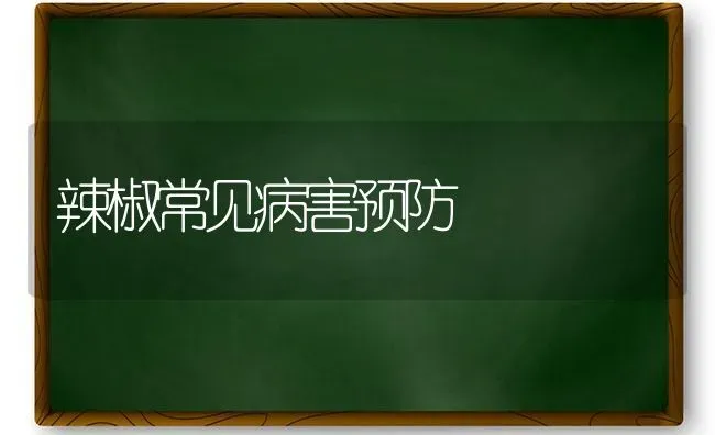 辣椒常见病害预防 | 养殖技术大全