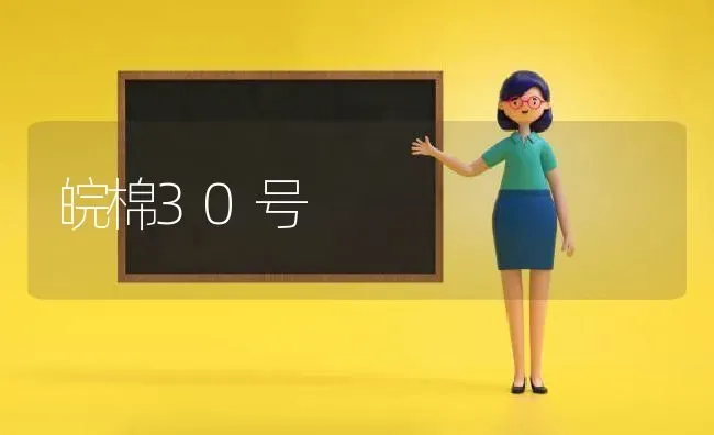 皖棉30号 | 养殖技术大全
