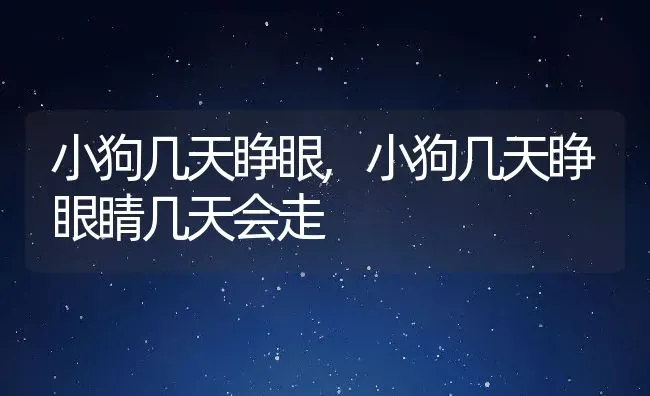 小狗几天睁眼,小狗几天睁眼睛几天会走 | 养殖科普