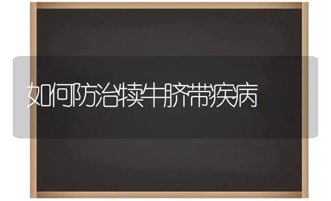 如何防治犊牛脐带疾病 | 养殖技术大全