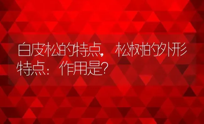 白皮松的特点,松树的外形特点：作用是？ | 养殖科普