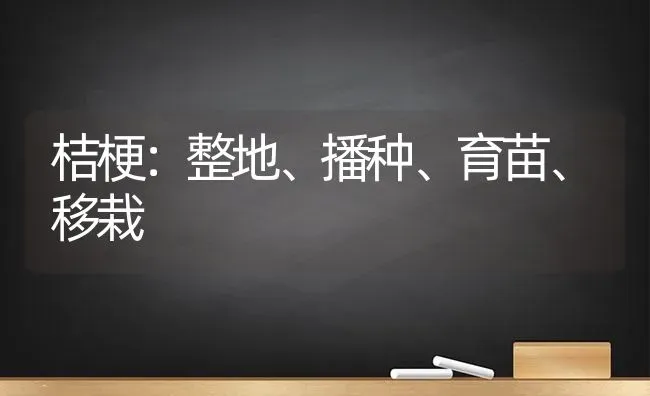 桔梗：整地、播种、育苗、移栽 | 养殖知识