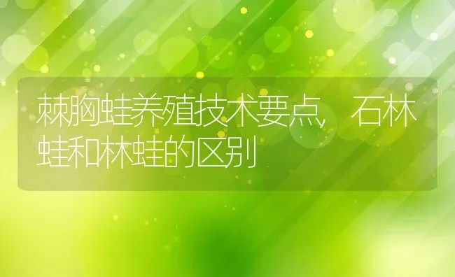 棘胸蛙养殖技术要点,石林蛙和林蛙的区别 | 养殖学堂