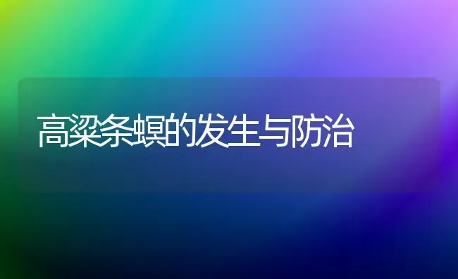 手扶拖拉机主动转向原因分析 | 养殖技术大全