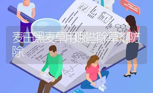 麦田黑麦草用哪些除草剂防除 | 养殖知识