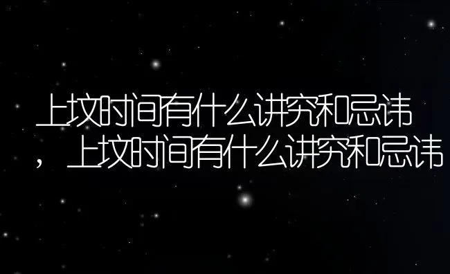 上坟时间有什么讲究和忌讳,上坟时间有什么讲究和忌讳 | 养殖科普