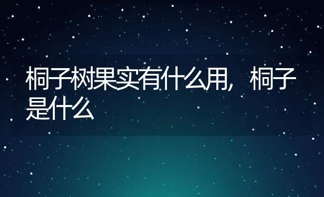 桐子树果实有什么用,桐子是什么 | 养殖学堂
