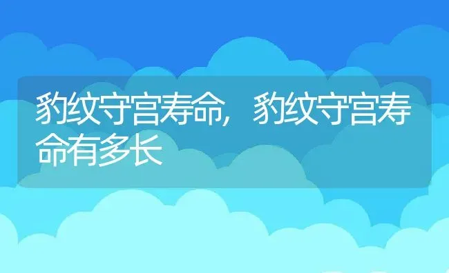 豹纹守宫寿命,豹纹守宫寿命有多长 | 养殖资料