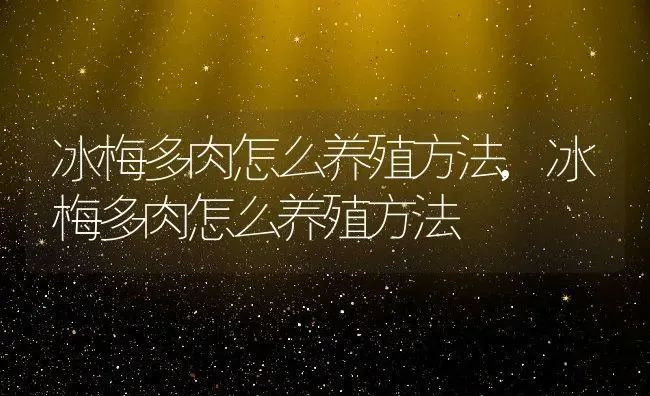 冰梅多肉怎么养殖方法,冰梅多肉怎么养殖方法 | 养殖科普