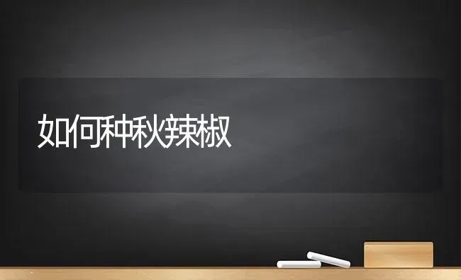 如何种秋辣椒 | 养殖技术大全