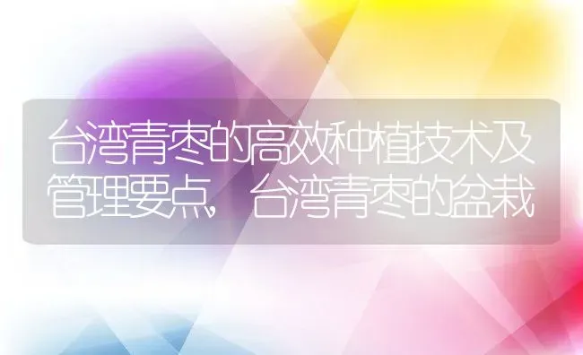 吊兰可以用水养吗,水培吊兰花怎么养才能旺盛 | 养殖学堂