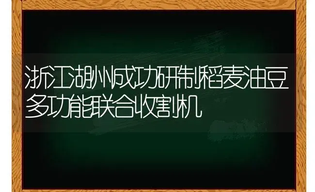 浙江湖州成功研制稻麦油豆多功能联合收割机 | 养殖知识