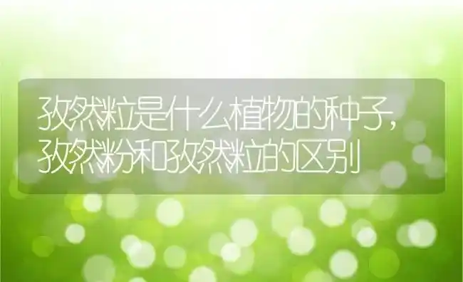 孜然粒是什么植物的种子,孜然粉和孜然粒的区别 | 养殖学堂