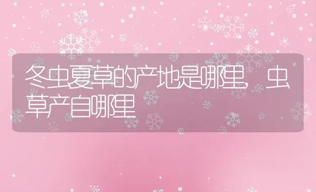 冬虫夏草的产地是哪里,虫草产自哪里 | 养殖学堂