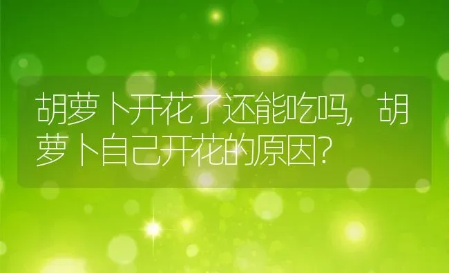 胡萝卜开花了还能吃吗,胡萝卜自己开花的原因？ | 养殖科普