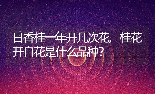 日香桂一年开几次花,桂花开白花是什么品种？ | 养殖科普