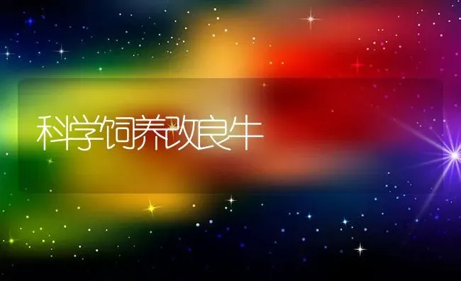 科学饲养改良牛 | 养殖技术大全