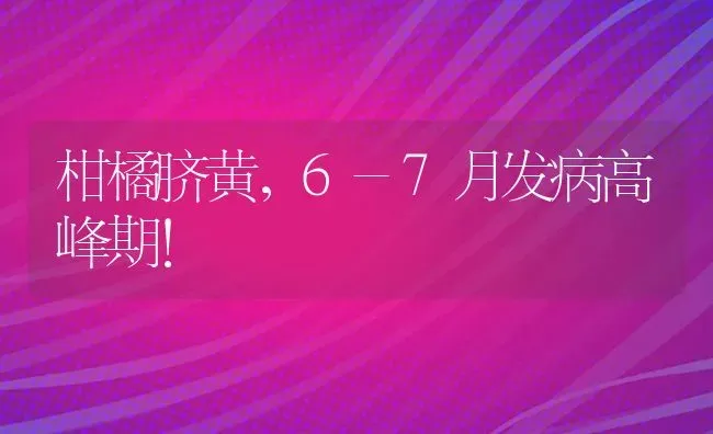 柑橘脐黄,6-7月发病高峰期！ | 养殖技术大全