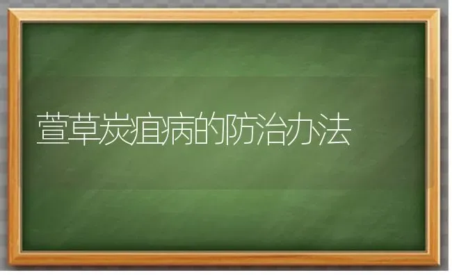 萱草炭疽病的防治办法 | 养殖知识