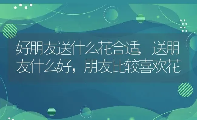 好朋友送什么花合适,送朋友什么好，朋友比较喜欢花 | 养殖学堂