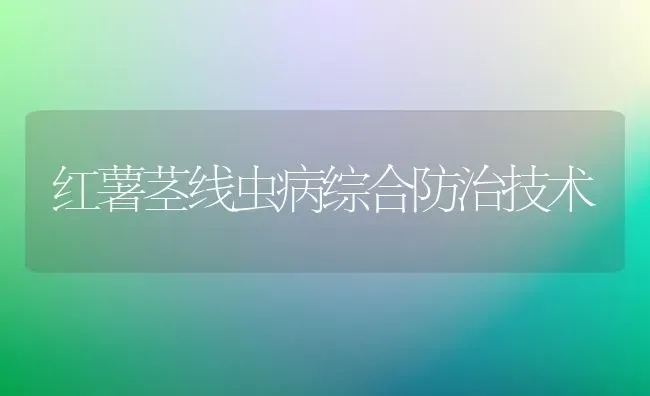 红薯茎线虫病综合防治技术 | 养殖技术大全