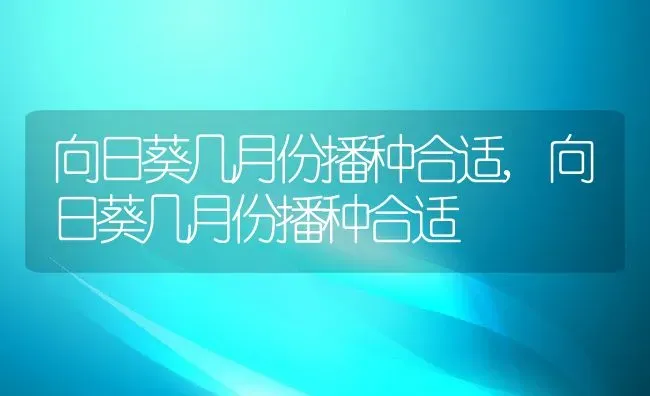 向日葵几月份播种合适,向日葵几月份播种合适 | 养殖科普