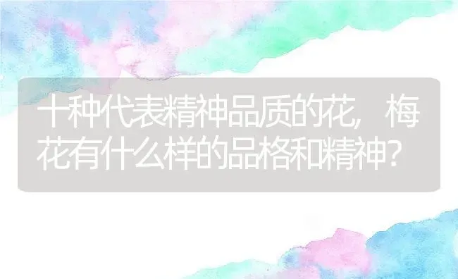 十种代表精神品质的花,梅花有什么样的品格和精神？ | 养殖科普