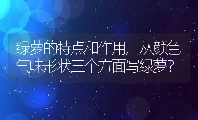 绿萝的特点和作用,从颜色气味形状三个方面写绿萝？ | 养殖科普
