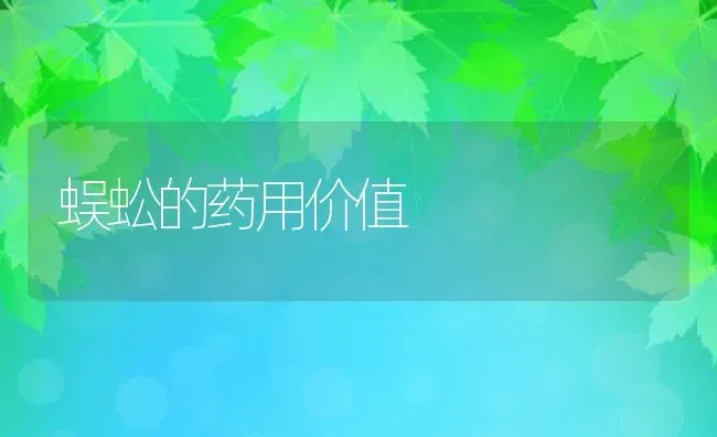 蜈蚣的药用价值 | 养殖资料